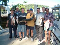 Noosa Deep Sea Fishing Cobia
