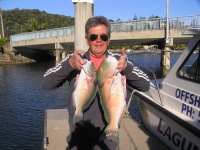 Noosa fishing charter Parrots from Massouds