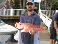 Queensland Fishing Charters Scarlet Sea Perch