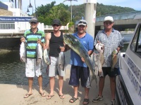 Sunshine coast fishing Tuna and Dolphin Fish
