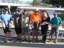 Queensland Fishing Charter Mixed Bag