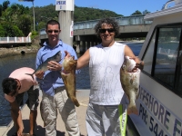 Noosa fishing Charter Cod