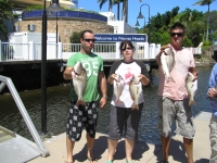 Sunshine Coast Fishing charter Sweetlip