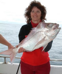 Sunshine Coast fishing Charter Snapper