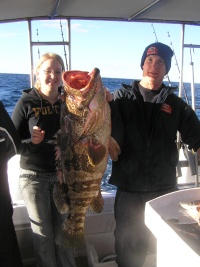 Sunshine Coast fishing charter Greasy Cod
