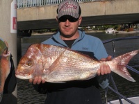 Sunshine coast fishing charter Snapper
