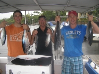 Brett, marcus and dennis fishing noosa for bonito