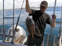 Queensland Fishing Charter Sweetlip
