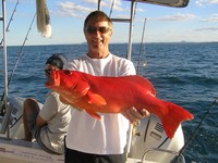 Noosa Fishing Coral Trout