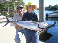 Noosa Fishing Charter Long Tail Tuna