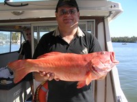 Noosa Reef Fishing Coral Trout