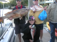 Sunshine coast fishing charter Greasy Cod