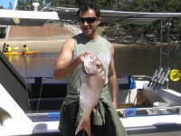 Noosa Fishing Peters Snapper