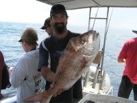 Sunshine coast fishing charter Brads Snapper