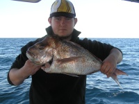 Sunshine Coast Fishing Charter Snapper