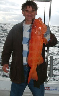 Queensland Fishing Charter Coral Trout