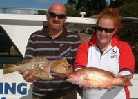 Sunshine Coast Fishing Charter Cod and Perch
