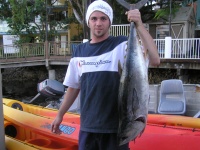 Noosa fishing Tuna